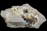 Large, Vibrant Azurite Crystals In Matrix - Morocco #74687-2